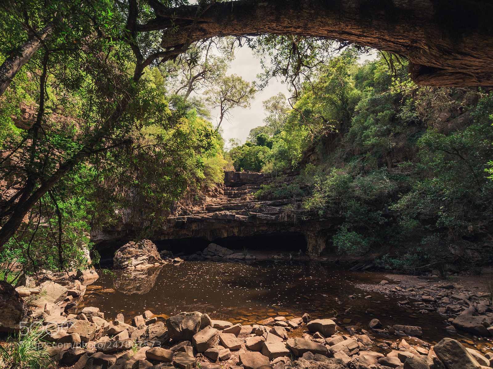 Nikon D7200 sample photo. The den of nargun photography