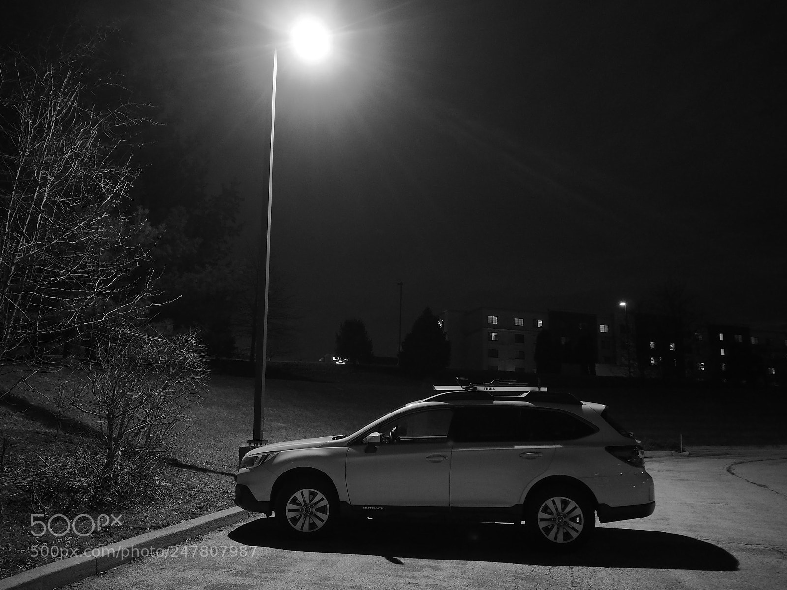 Olympus OM-D E-M10 II sample photo. Time to go home photography