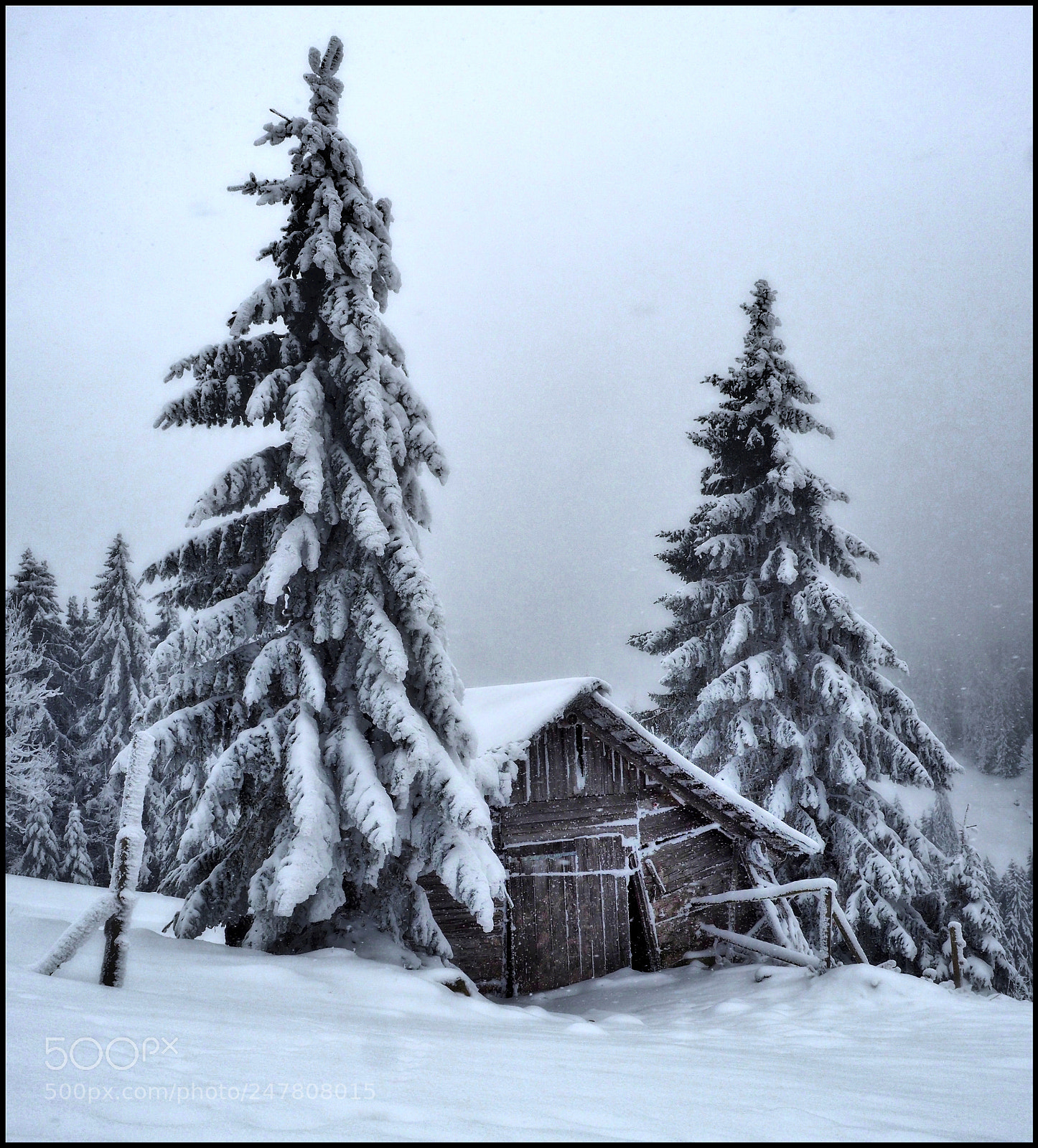 Olympus OM-D E-M1 Mark II sample photo. Leichter schneefall photography