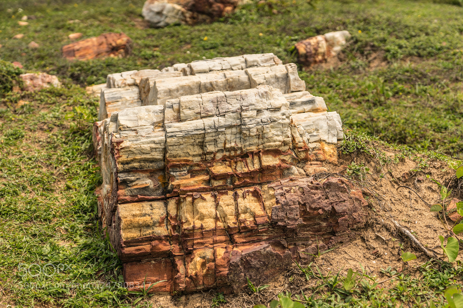 Sony a7 sample photo. Colorful rock photography