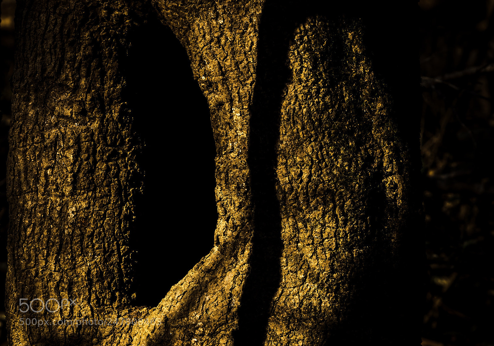 Nikon D5500 sample photo. Light and shadows  photography