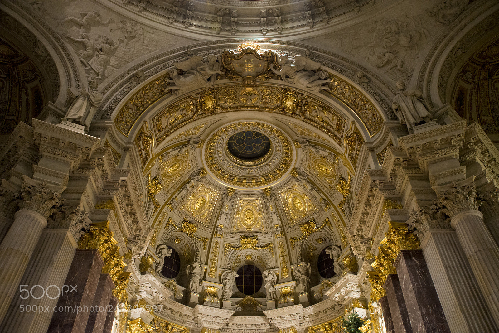 Nikon D610 sample photo. Look up! photography
