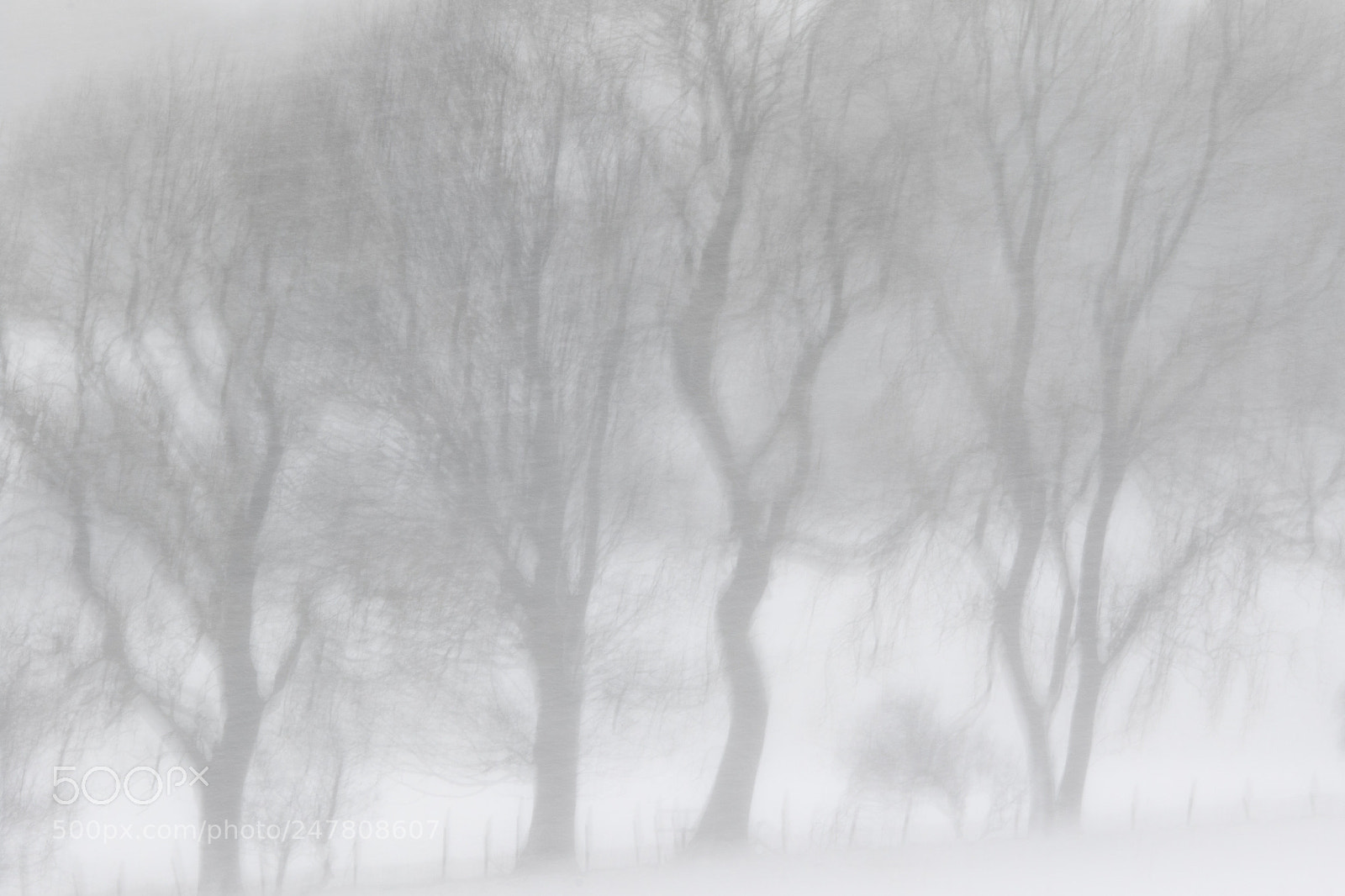 Canon EOS 7D Mark II sample photo. Pendle blizzard photography