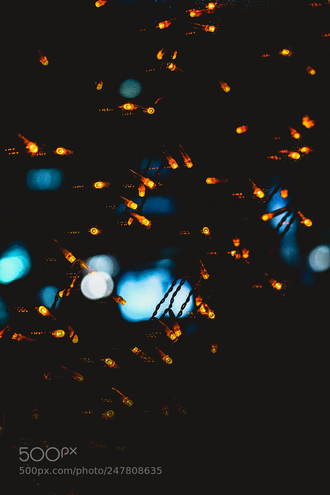 Sony a7 II sample photo. Light in mood photography