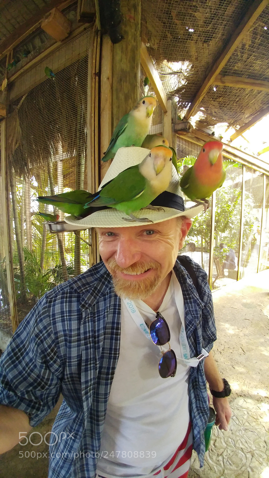 LG G5 sample photo. Bird hat photography