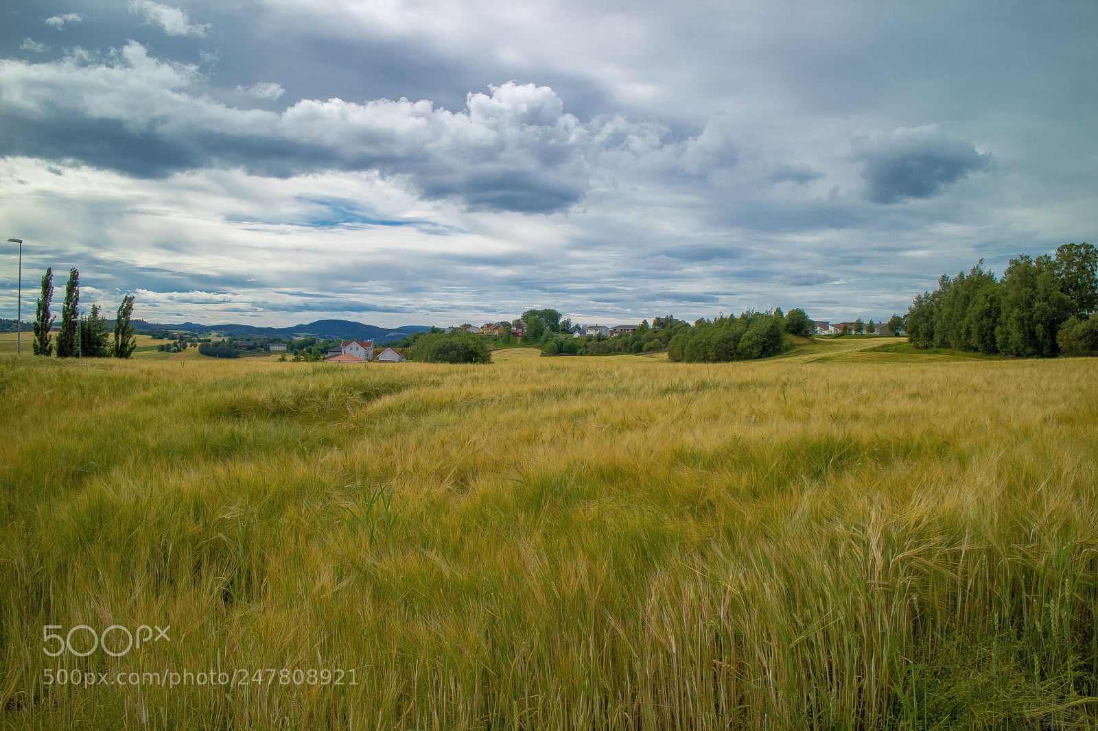 Canon EOS M3 sample photo. Back to harvest time photography