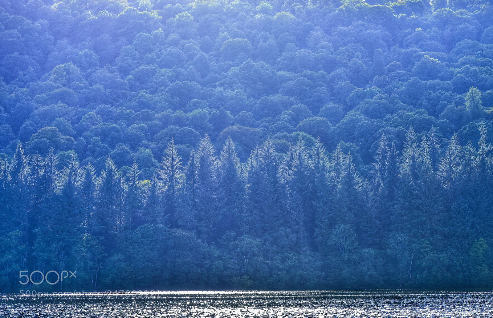 Nikon D810 sample photo. The lake district photography