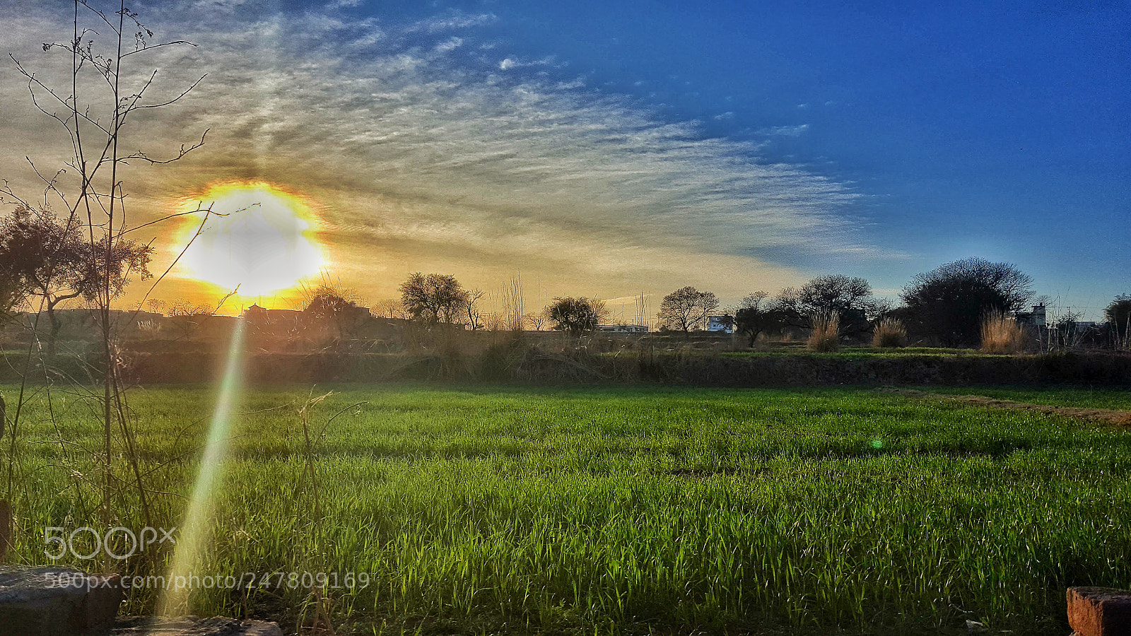 Samsung Galaxy S6 sample photo. Untitled photography