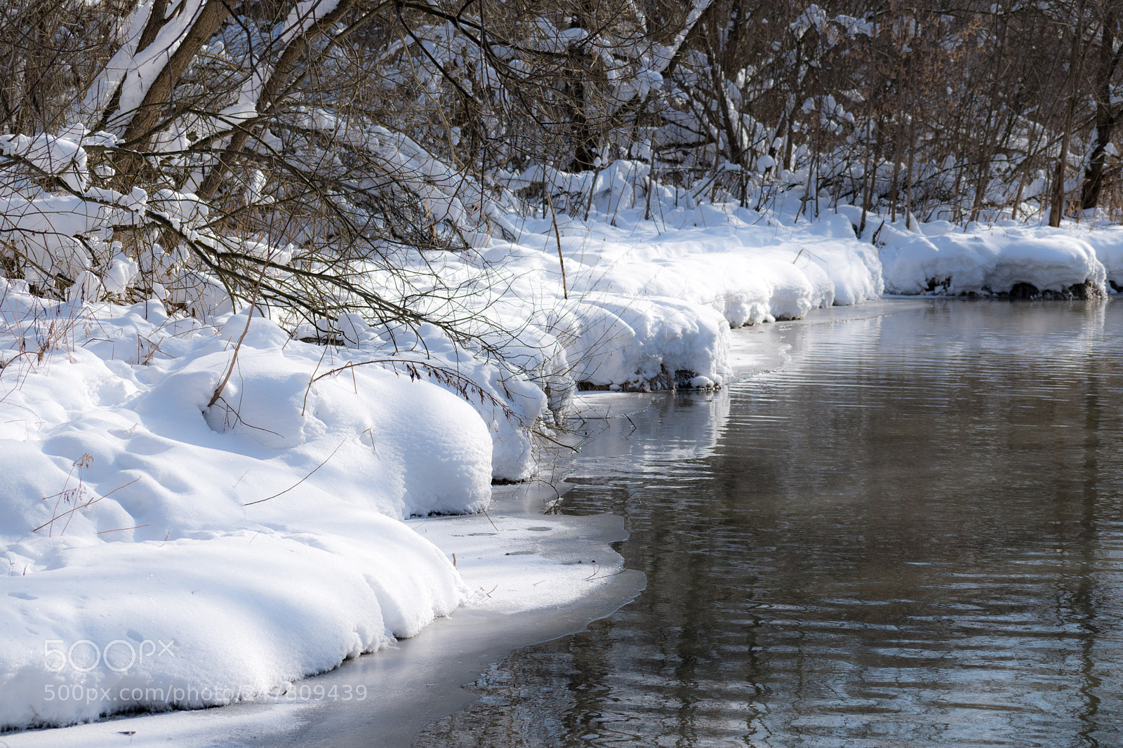 Nikon D5600 sample photo. Frosty morning photography