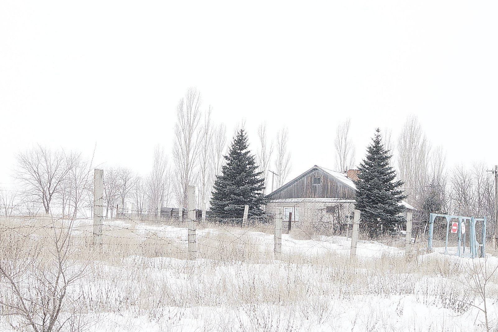 Canon EOS M10 sample photo. Winter landscape in bright light photography