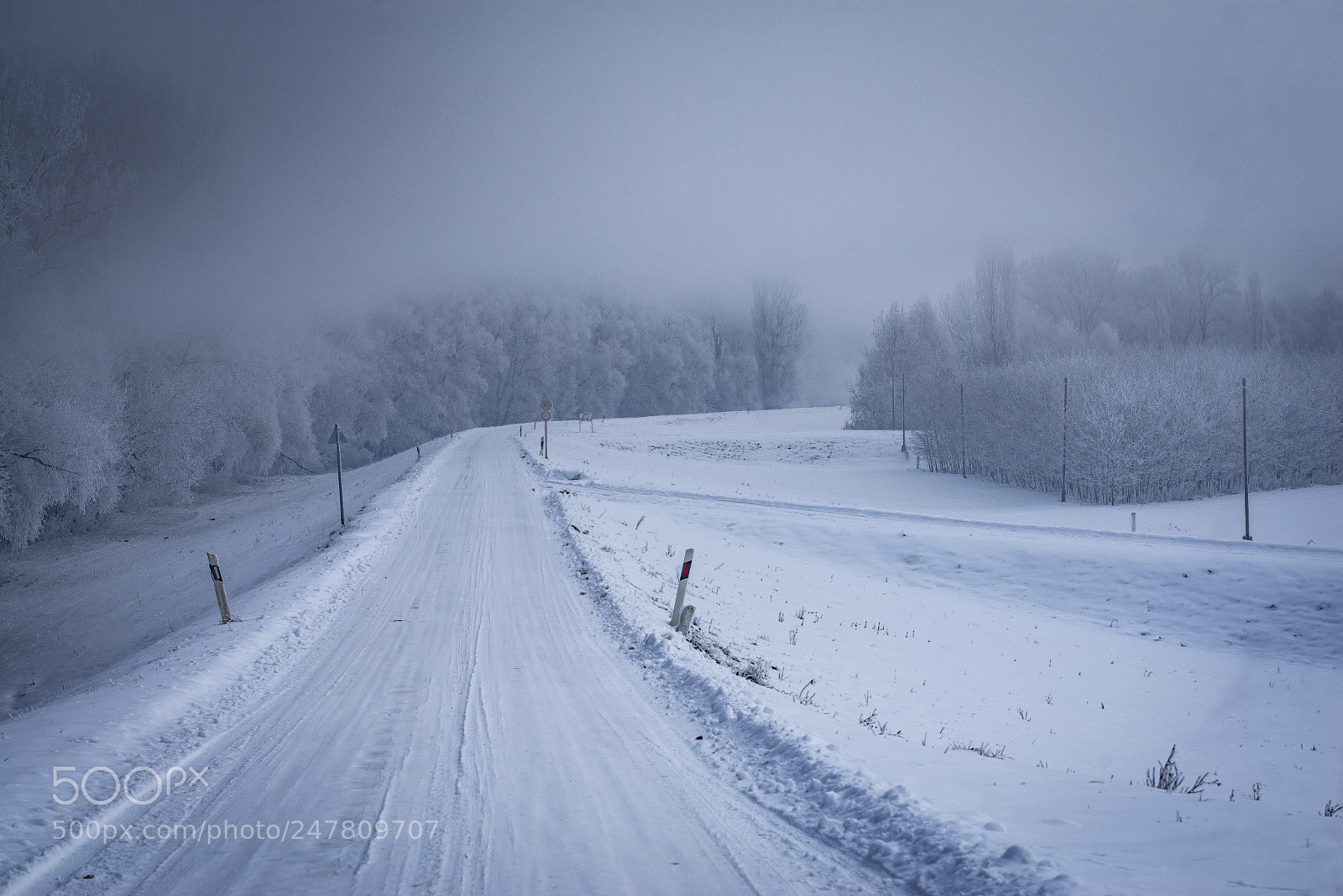 Nikon D610 sample photo. My way photography