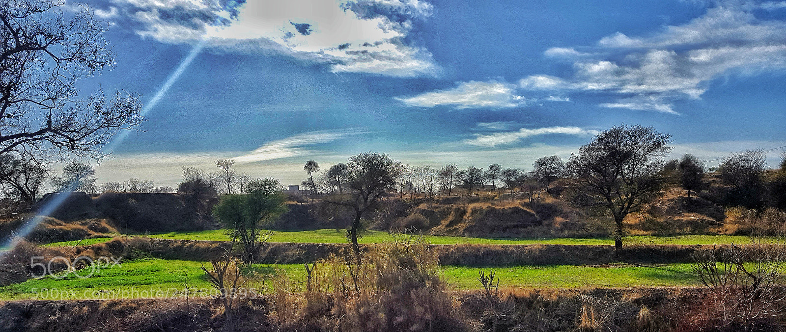 Samsung Galaxy S6 sample photo. Untitled photography