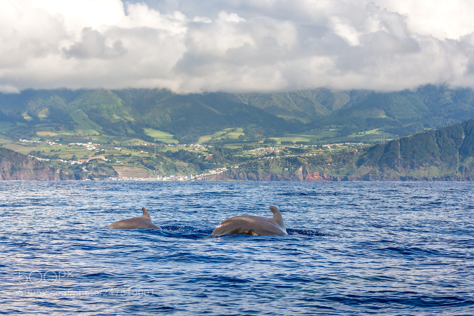 Nikon D7100 sample photo. Azores photography