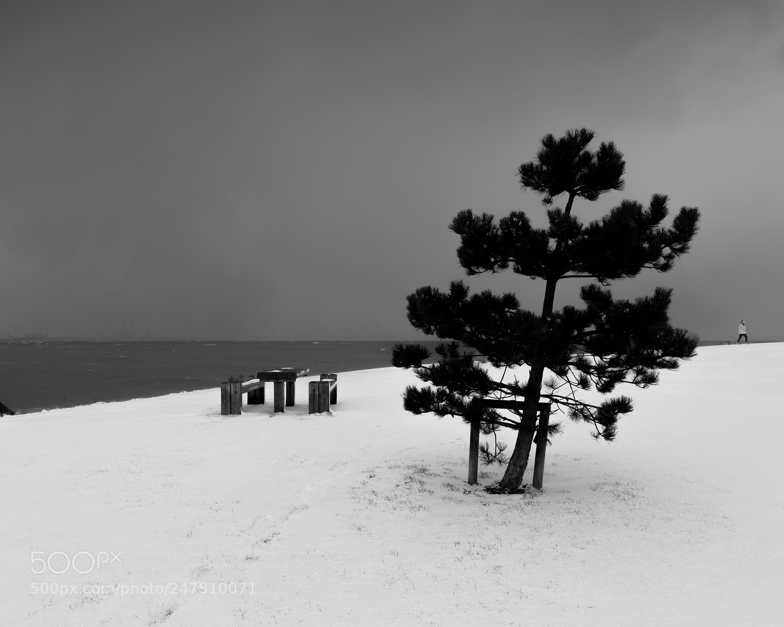 Nikon D810 sample photo. Monkstown snowscape photography