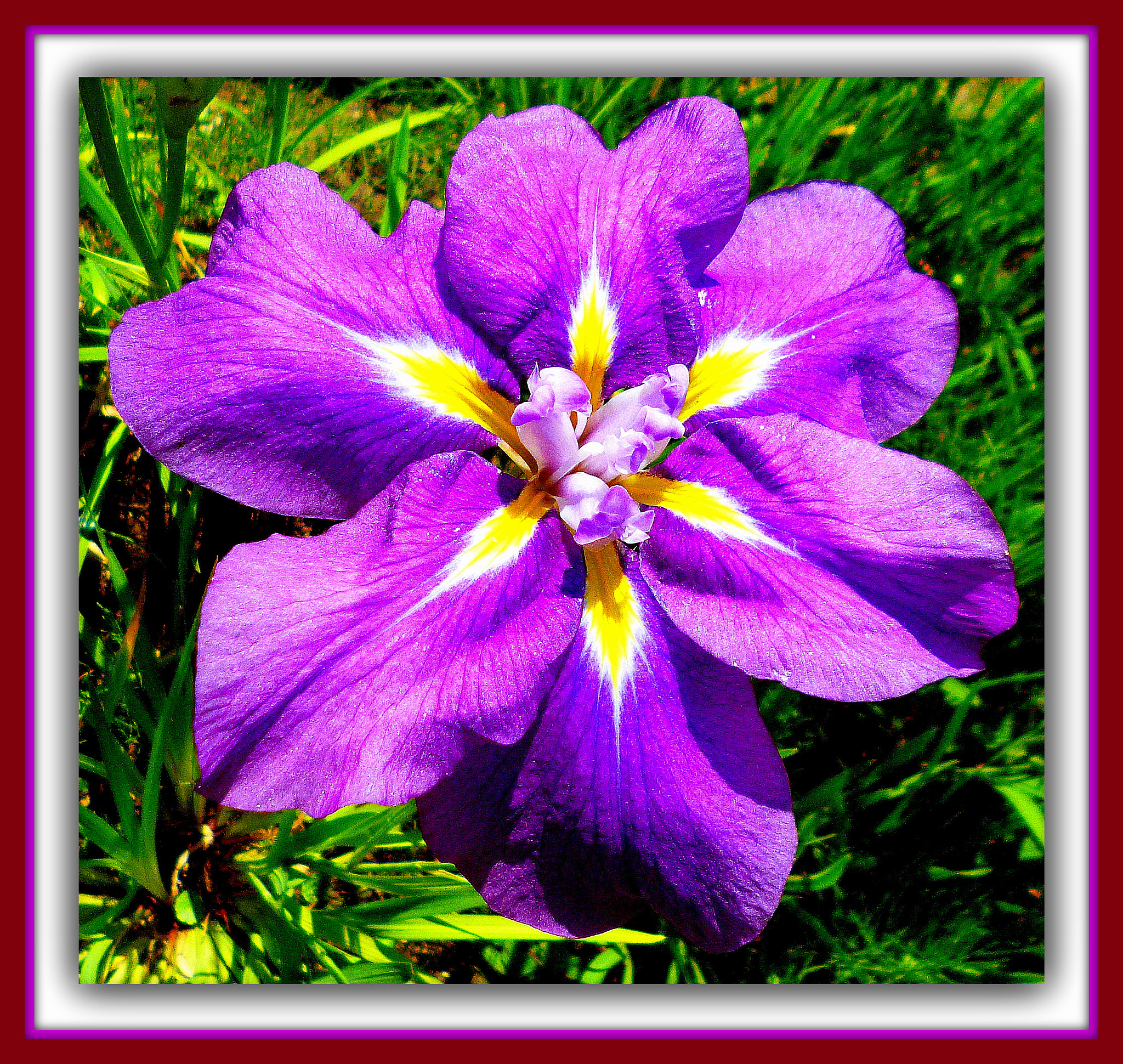 Panasonic DMC-FS40 sample photo. Jardin du luxembourg () paris photography
