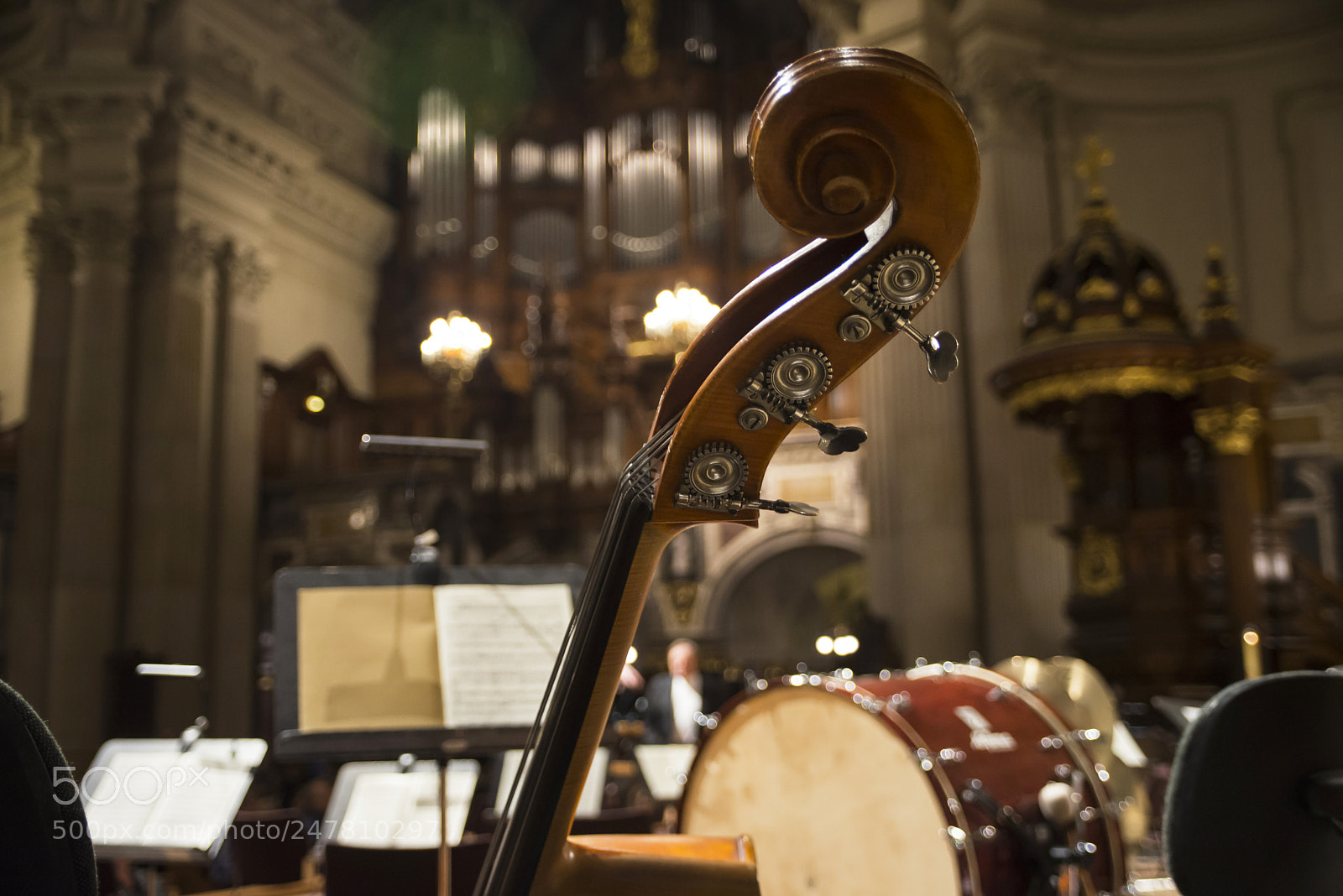 Nikon D610 sample photo. Music photography