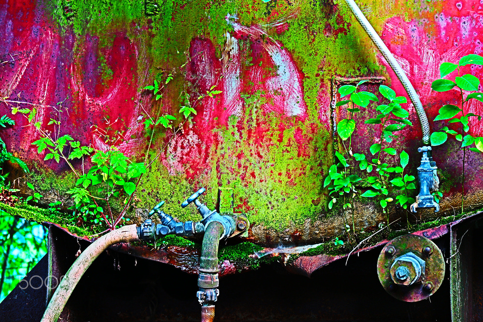 Canon EOS M10 sample photo. Overgrown watercontainer photography