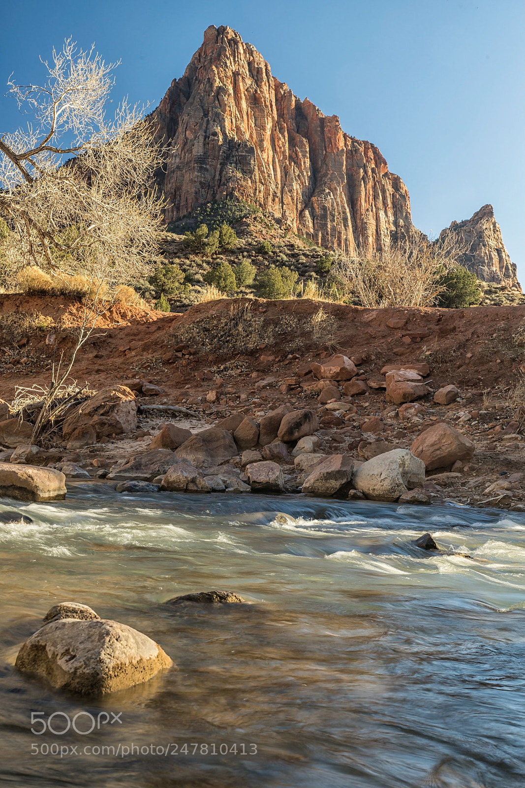 Nikon D850 sample photo. The watchman above the photography