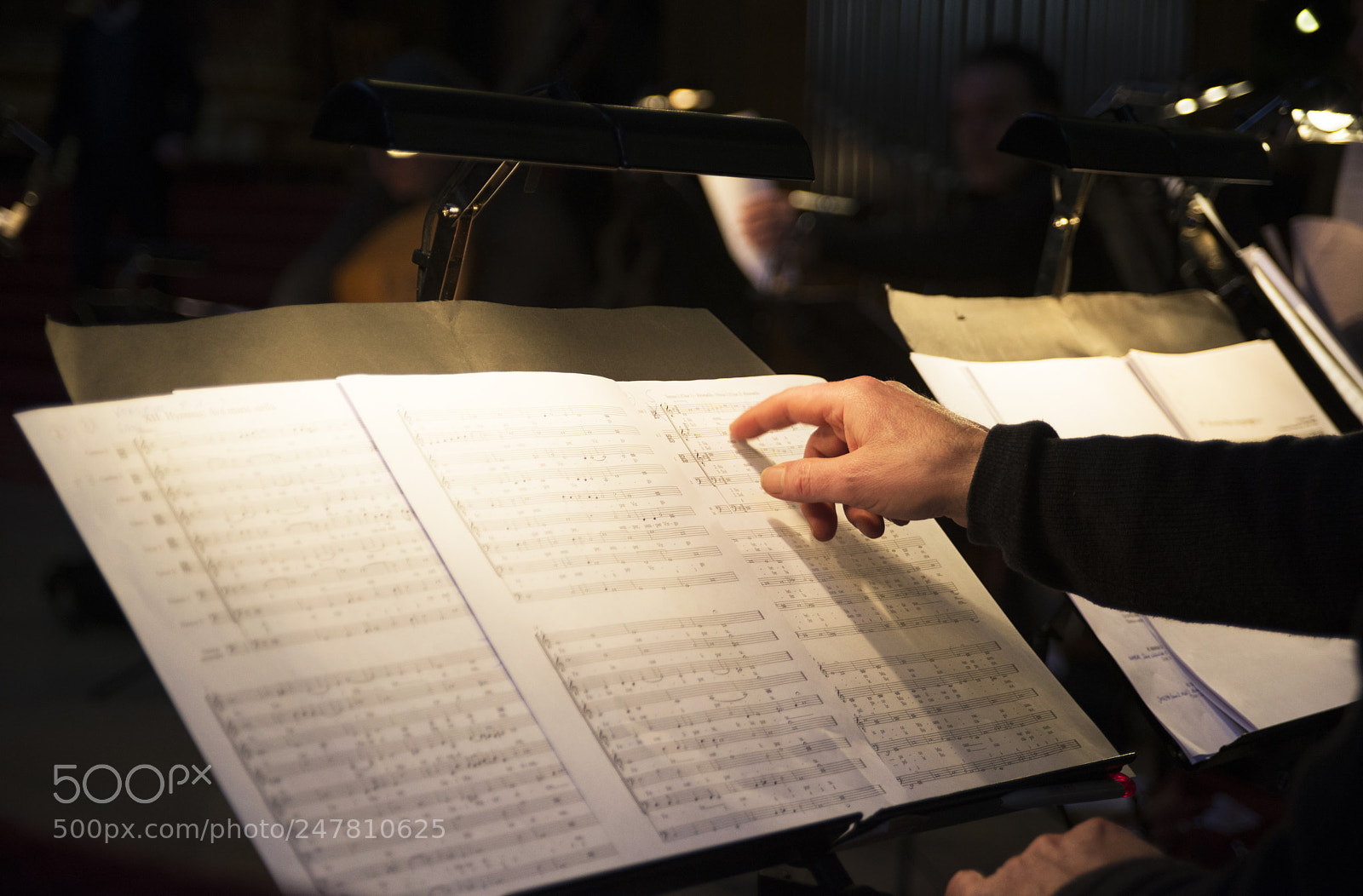 Nikon D610 sample photo. Touchy notes photography