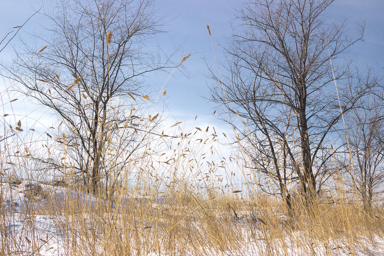 Canon EOS M10 sample photo. Field at the road in winter photography