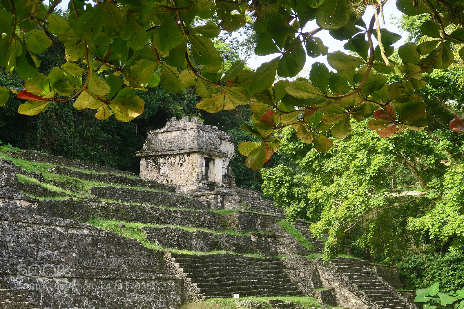 Canon PowerShot G5 X sample photo. *palenque / mexico* photography