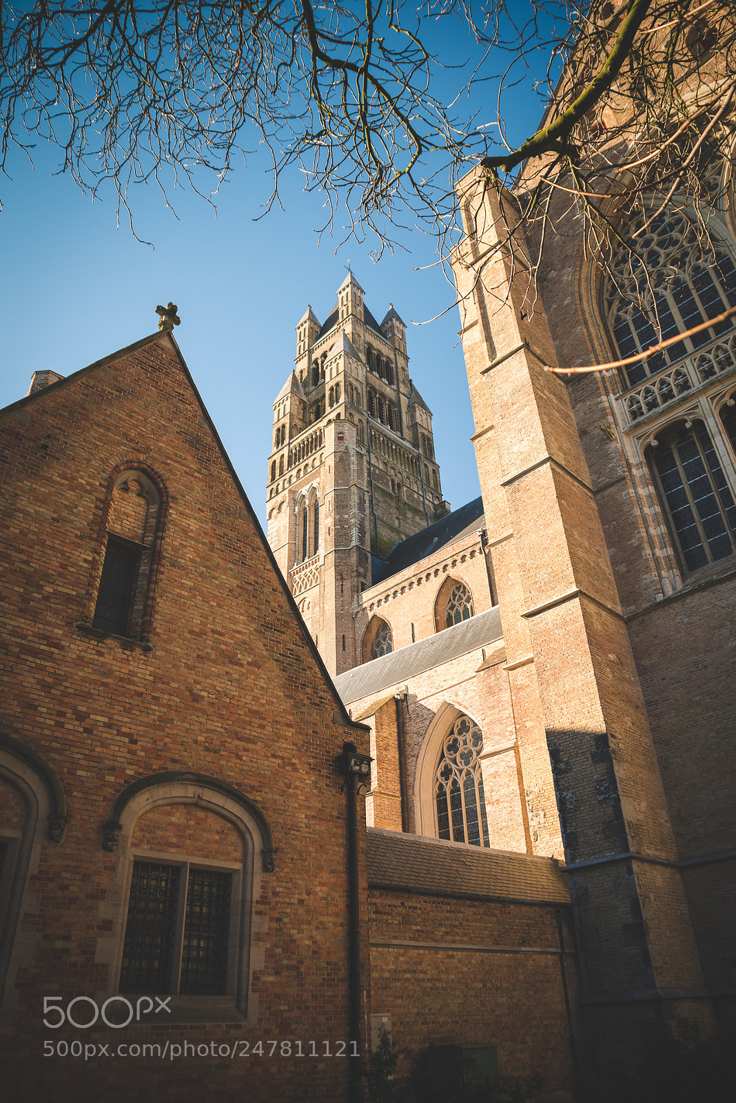 Nikon D800 sample photo. Saint saviour's cathedral, bruges photography