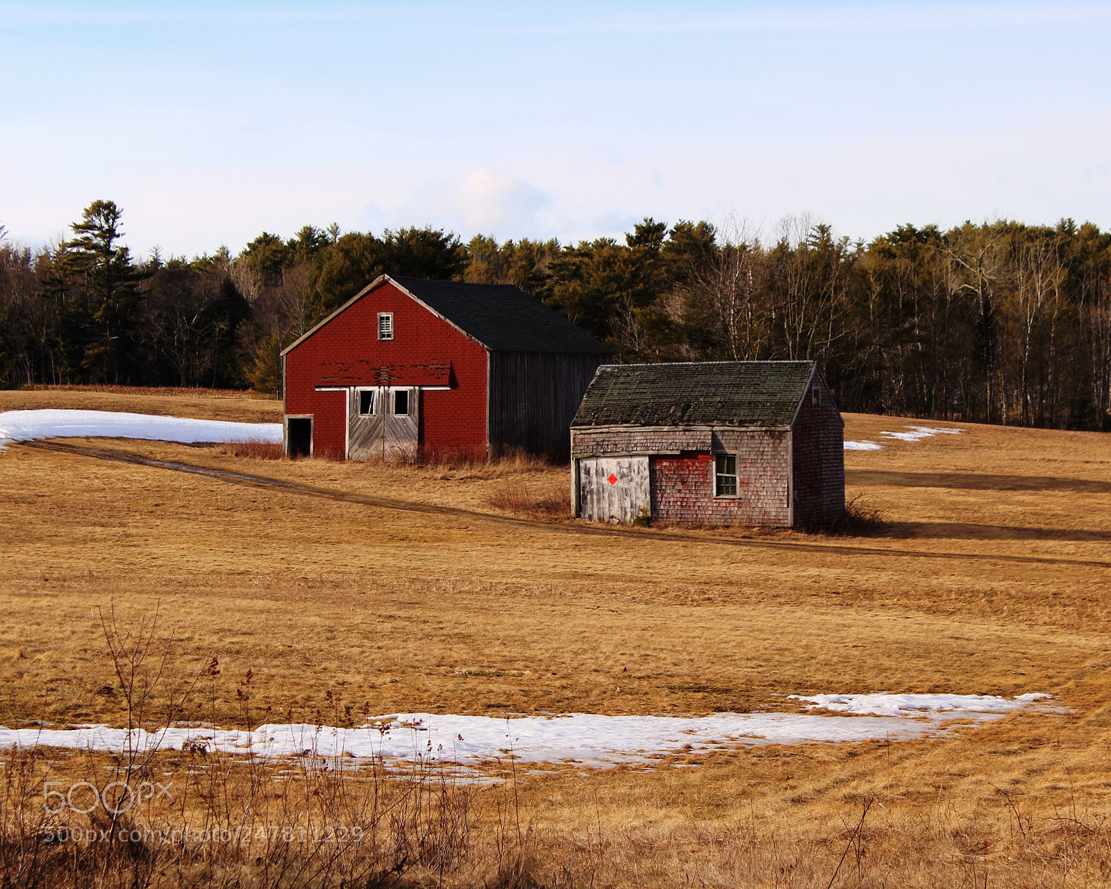 Canon EOS 1300D (EOS Rebel T6 / EOS Kiss X80) sample photo. On a back road photography