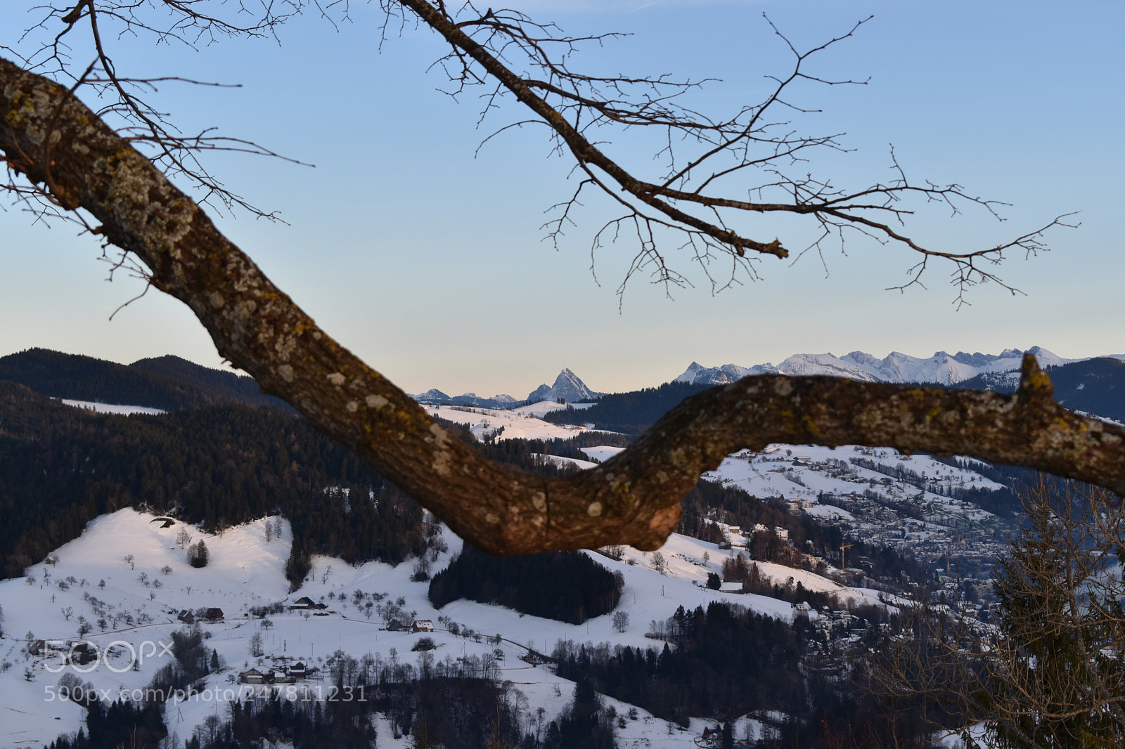 Nikon D5600 sample photo. Framed mountain photography