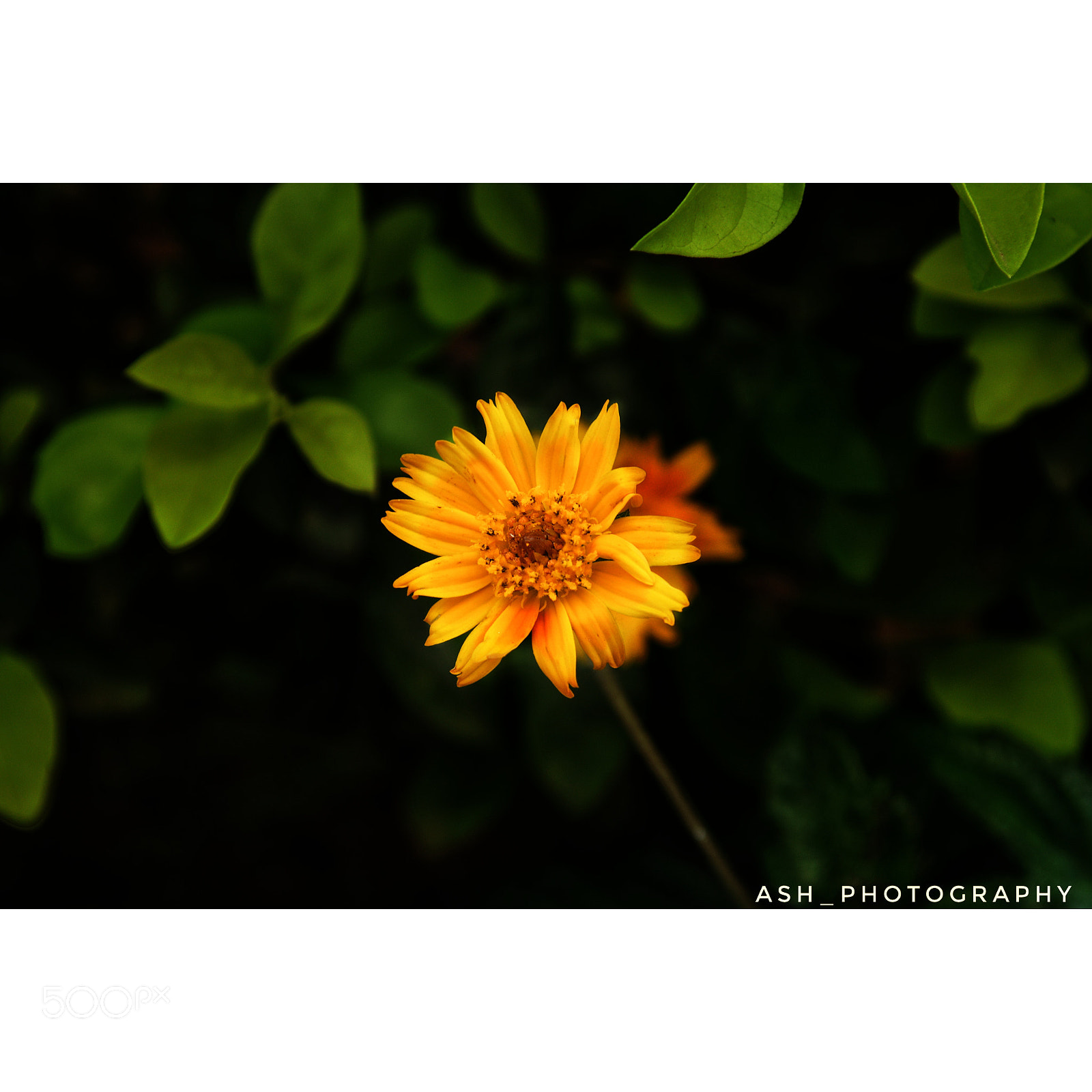 Nikon D3200 sample photo. Soul photography