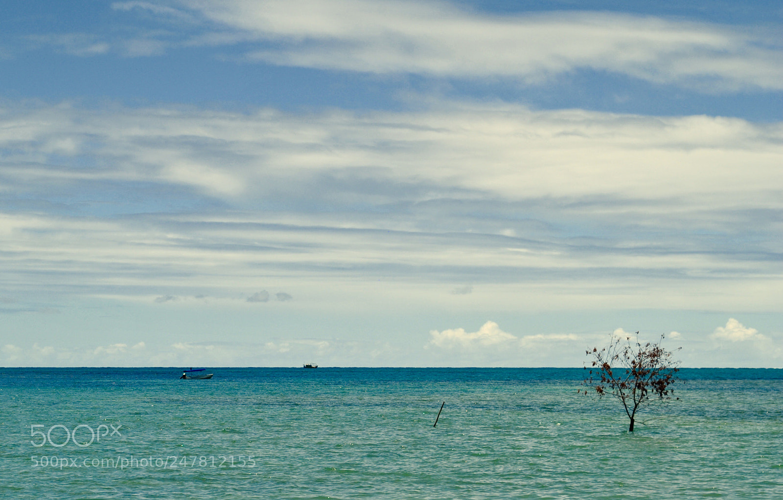 Nikon D3000 sample photo. #0001 photography