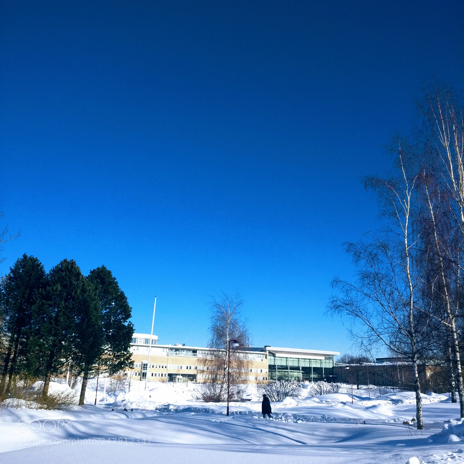 OnePlus A3003 sample photo. Best of norrlands winter photography