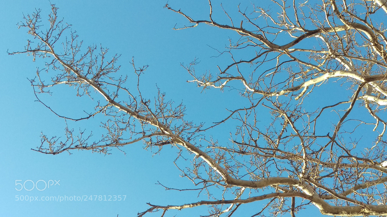 HTC ONE M9 sample photo. An early morning prayer photography