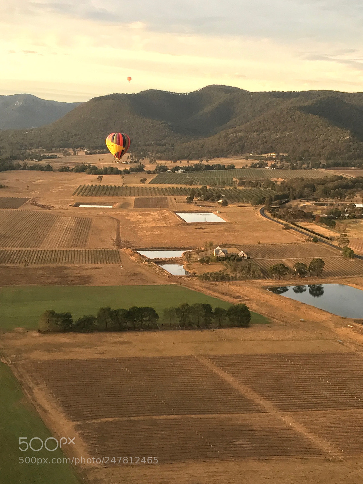 Apple iPhone 7 sample photo. Ballooning hunter valley photography