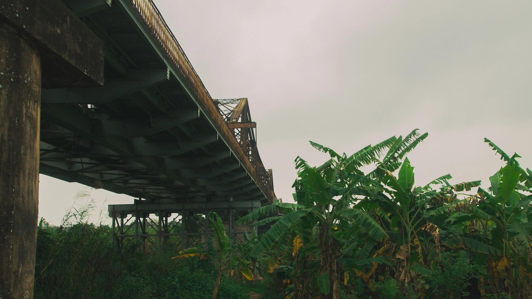 Olympus PEN E-P1 sample photo. Banana plantations in the heart of hanoi photography