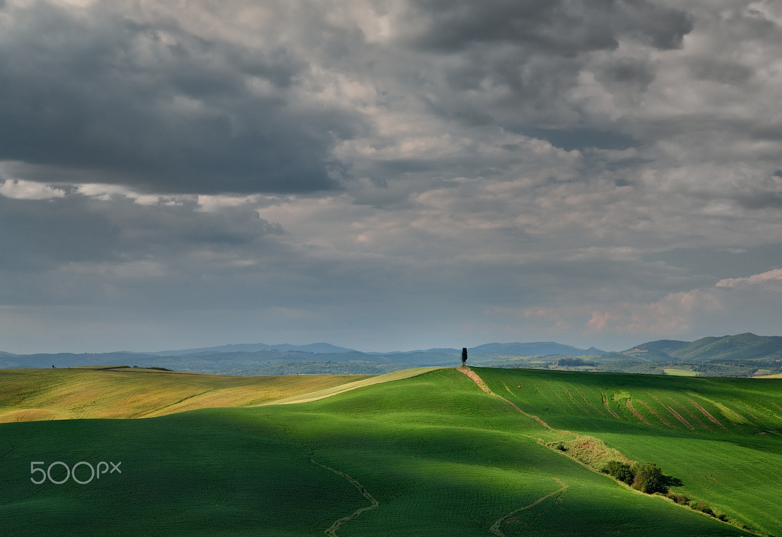 Nikon D610 sample photo. When light plays with hills. photography