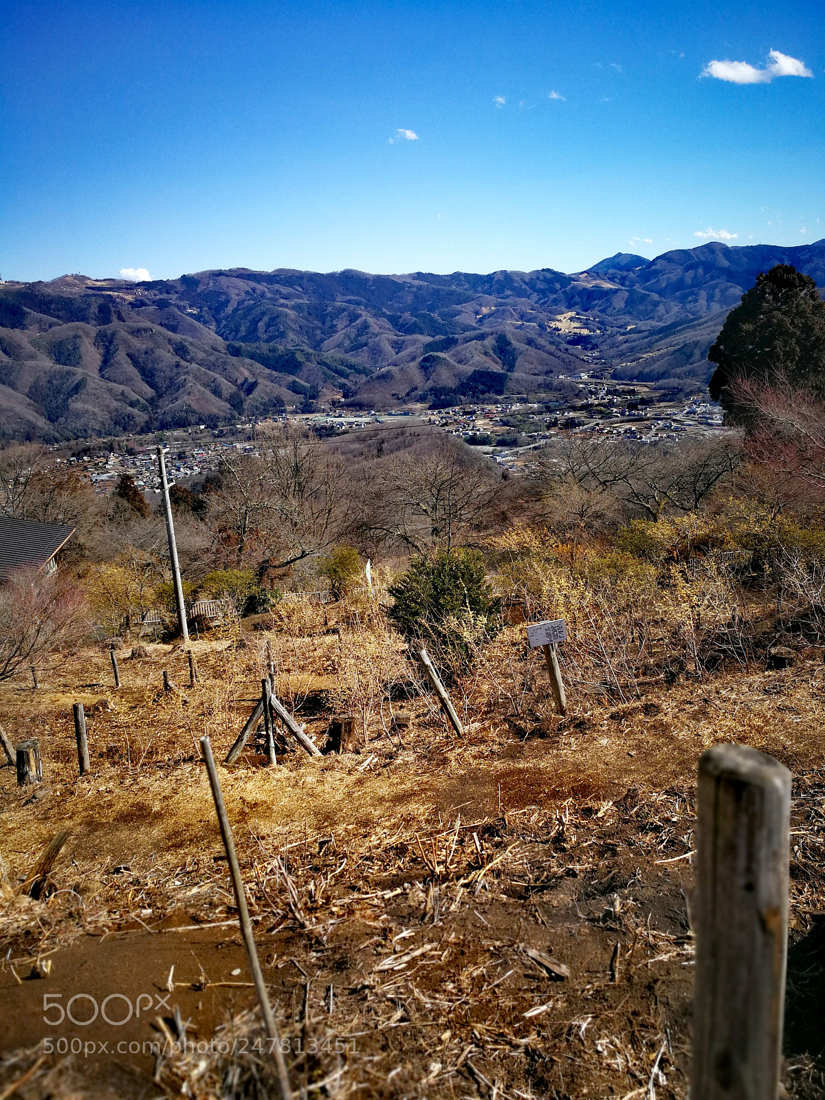 HUAWEI Mate 9 sample photo. 宝登山 photography