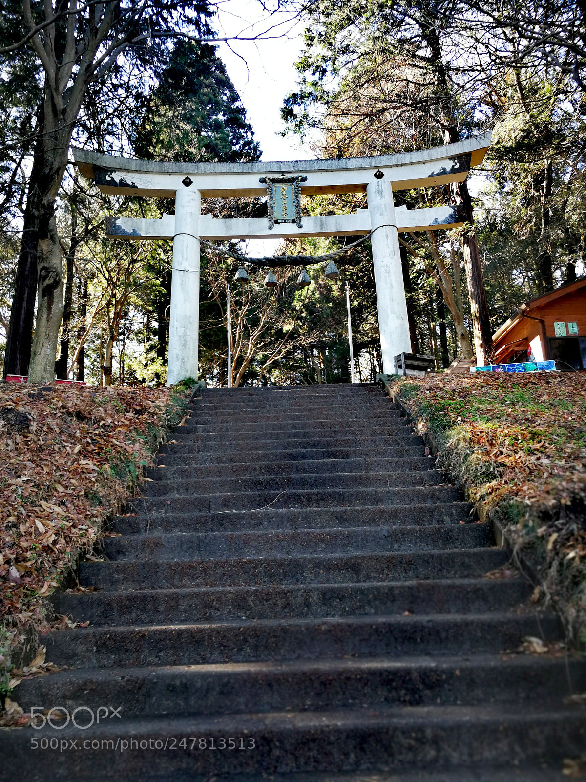 HUAWEI Mate 9 sample photo. 宝登山神社奥宮 photography