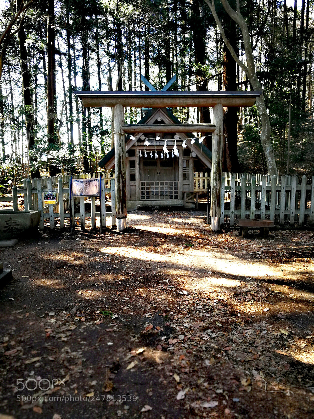 HUAWEI Mate 9 sample photo. 宝登山神社奥宮 photography