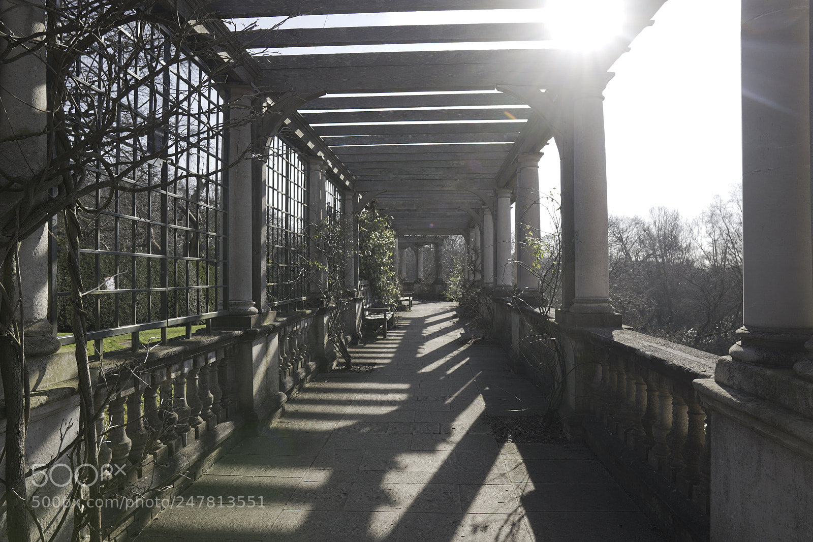 Sony a7R III sample photo. The hill gardens and photography