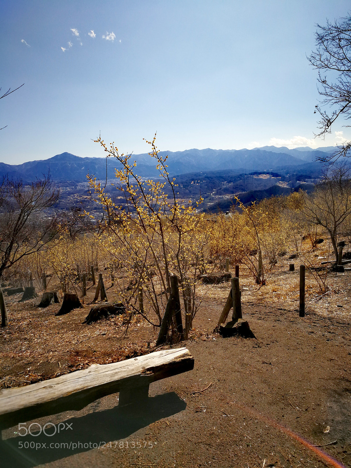 HUAWEI Mate 9 sample photo. 宝登山 photography