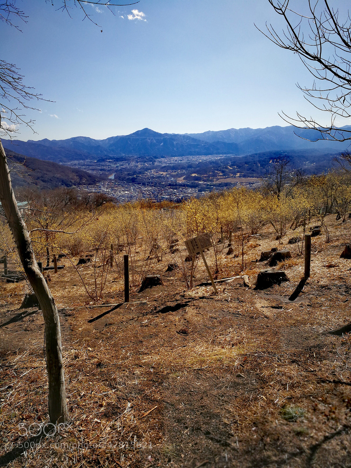 HUAWEI Mate 9 sample photo. 宝登山 photography