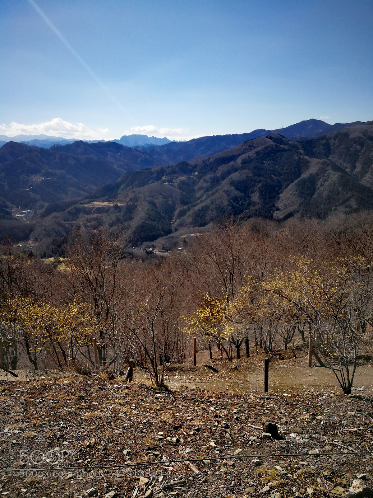 HUAWEI Mate 9 sample photo. 宝登山 photography