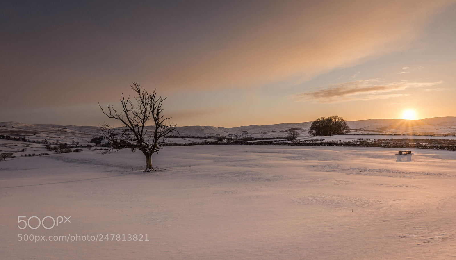 Nikon D7200 sample photo. Snowy  land photography