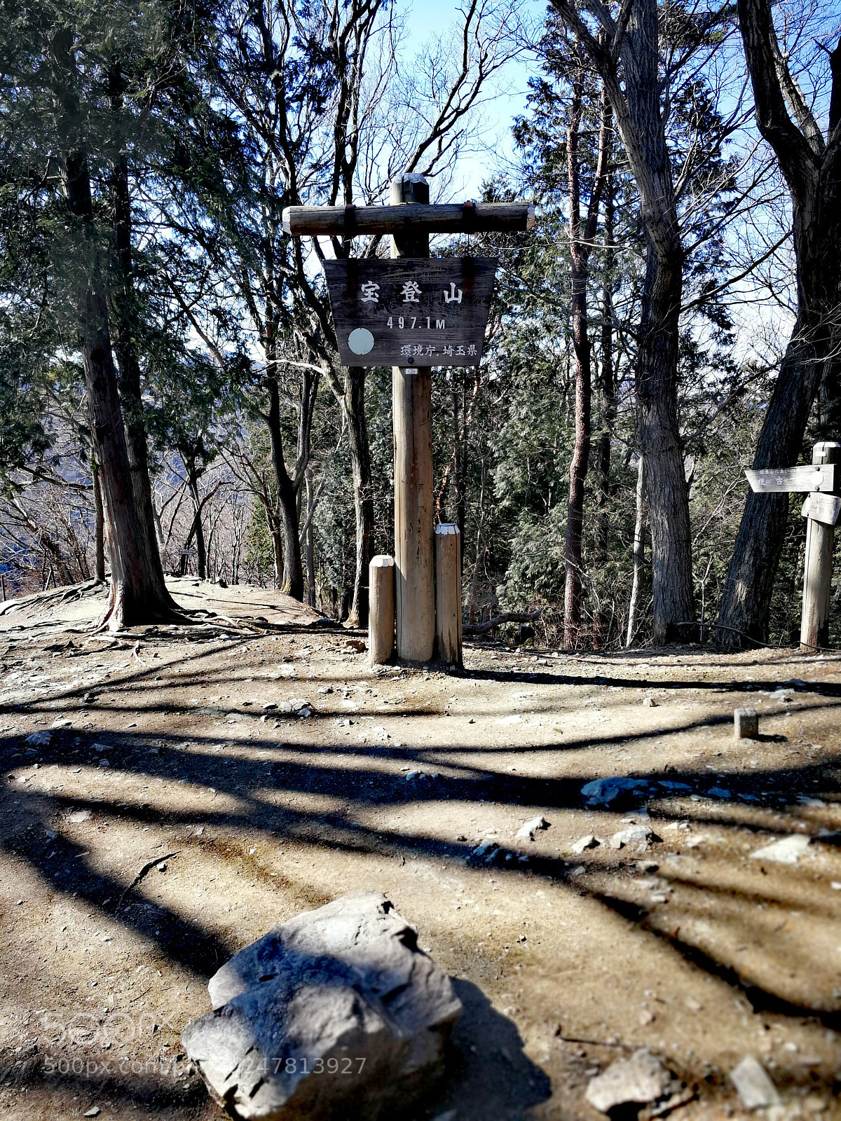 HUAWEI Mate 9 sample photo. 宝登山 photography