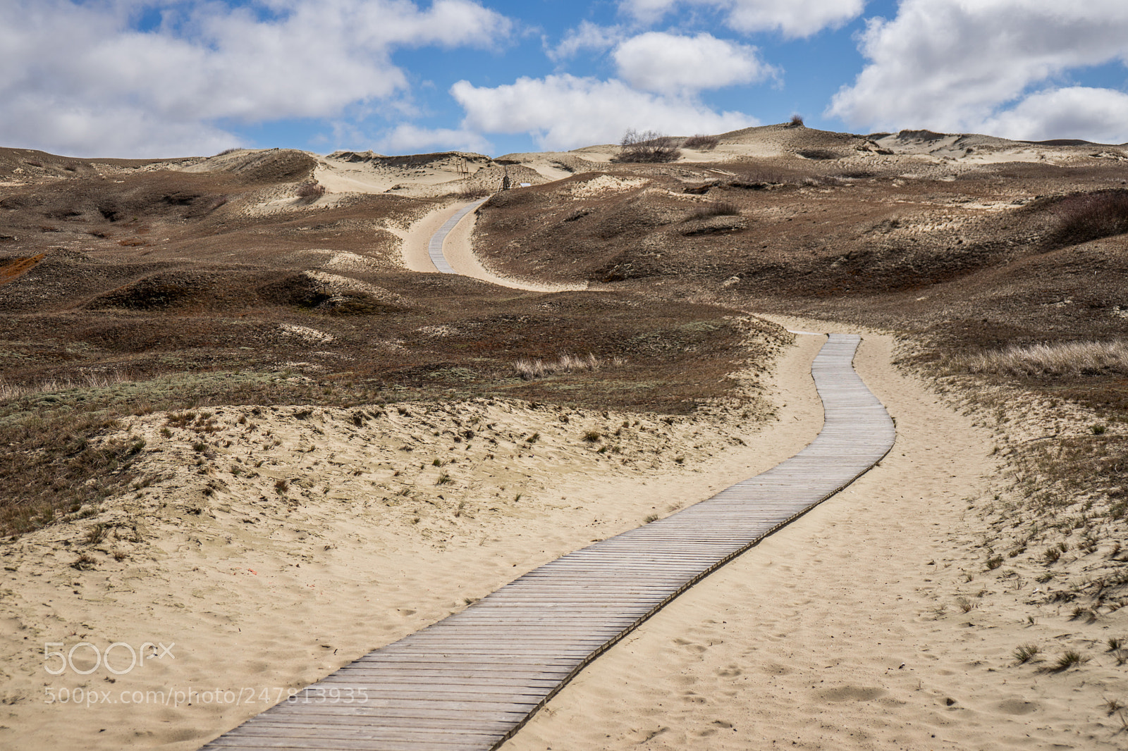 Sony a7 sample photo. Nida sand photography