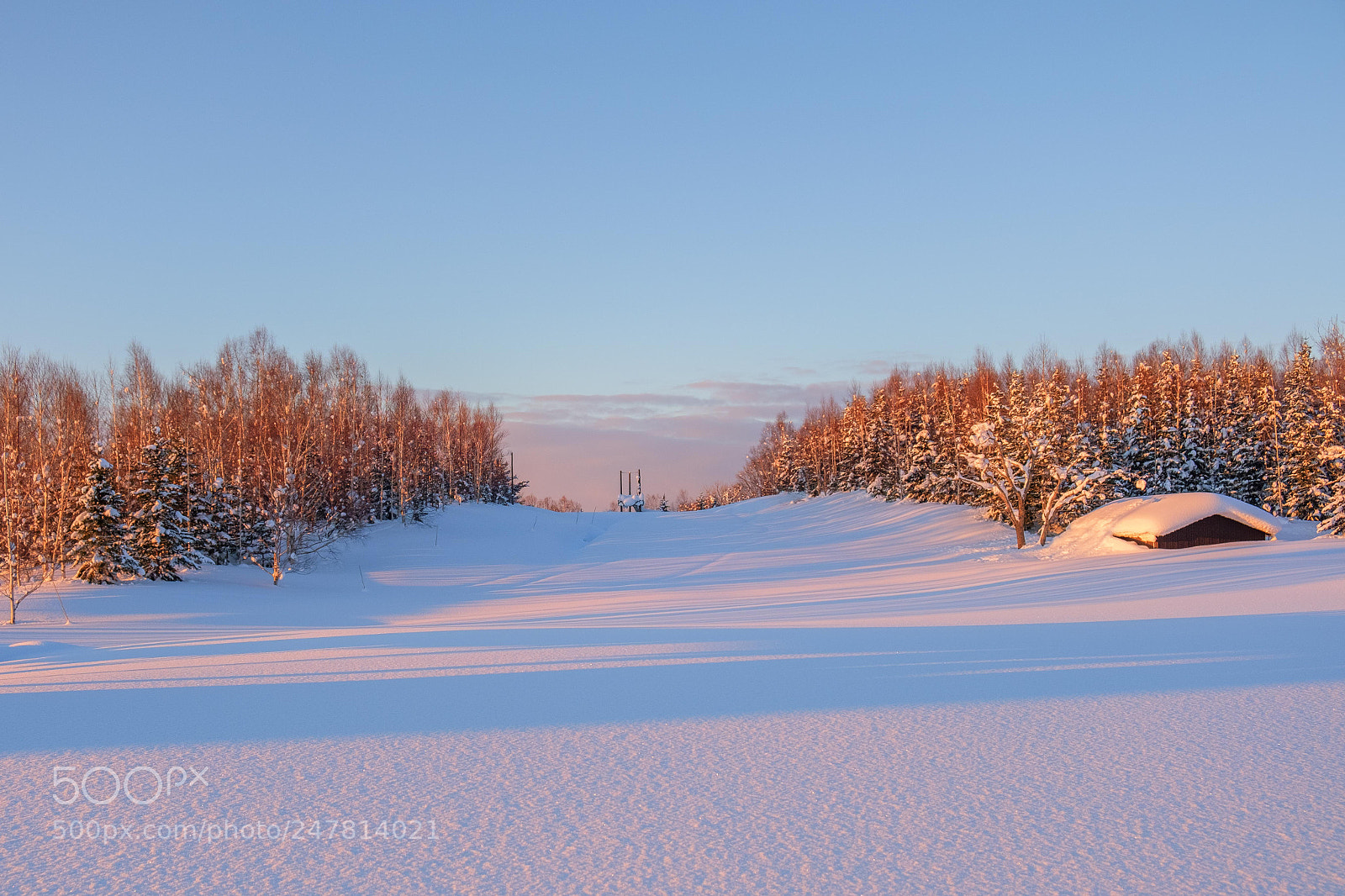 Fujifilm X-T20 sample photo. Morning snow photography