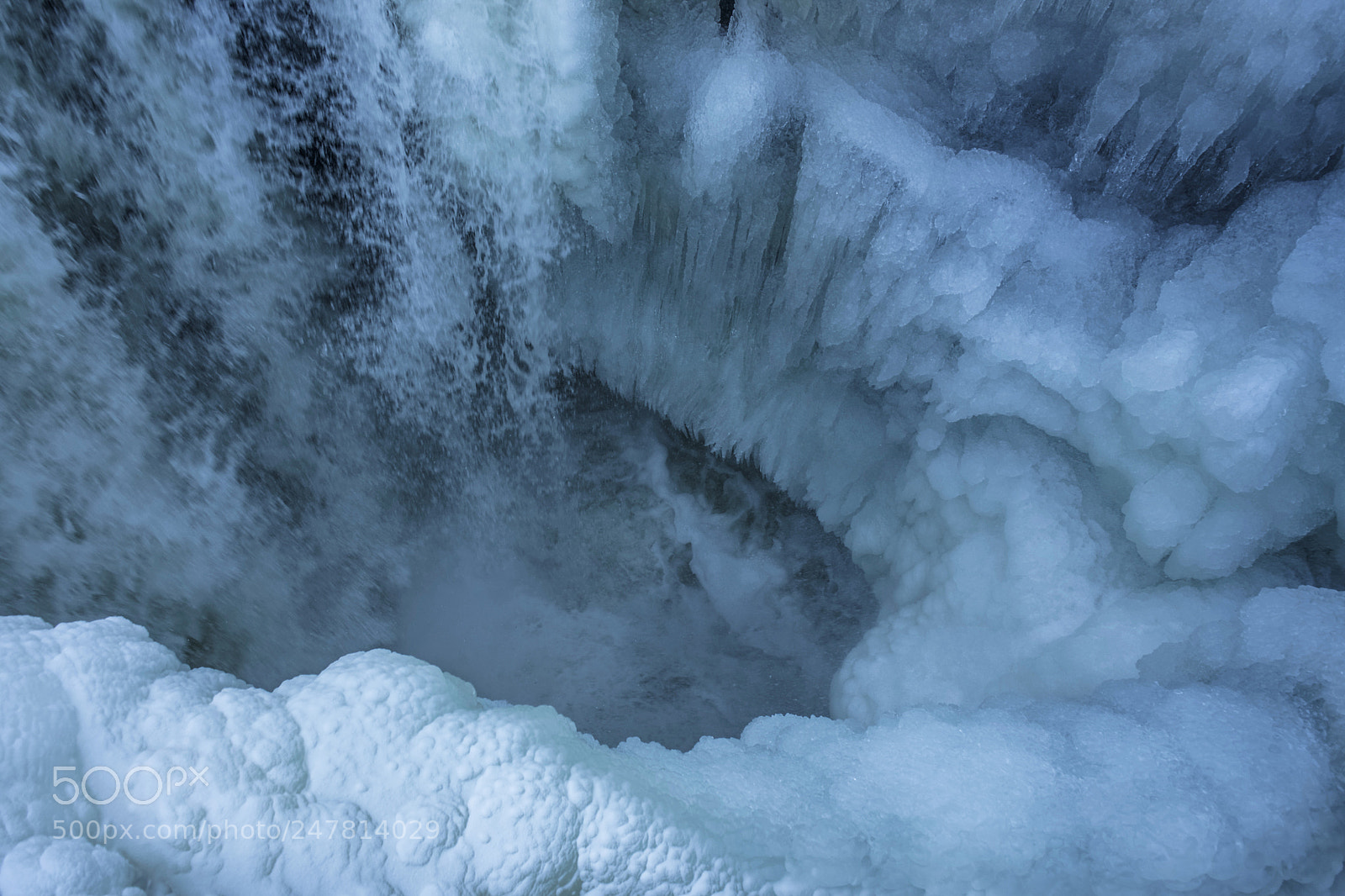 Sony a7 II sample photo. Frozen world photography