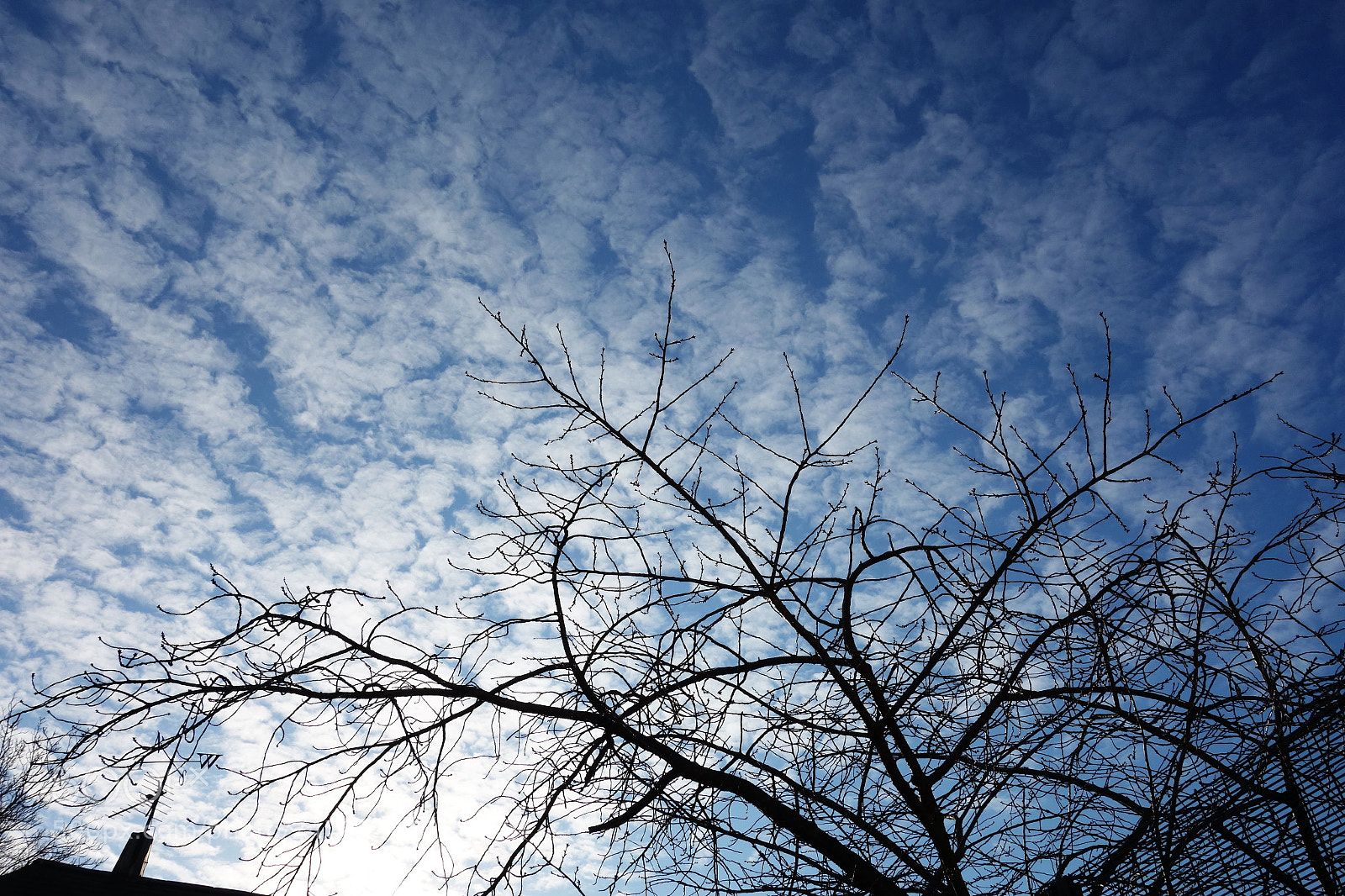 Sony Cyber-shot DSC-RX100 sample photo. Nothing burns like the photography