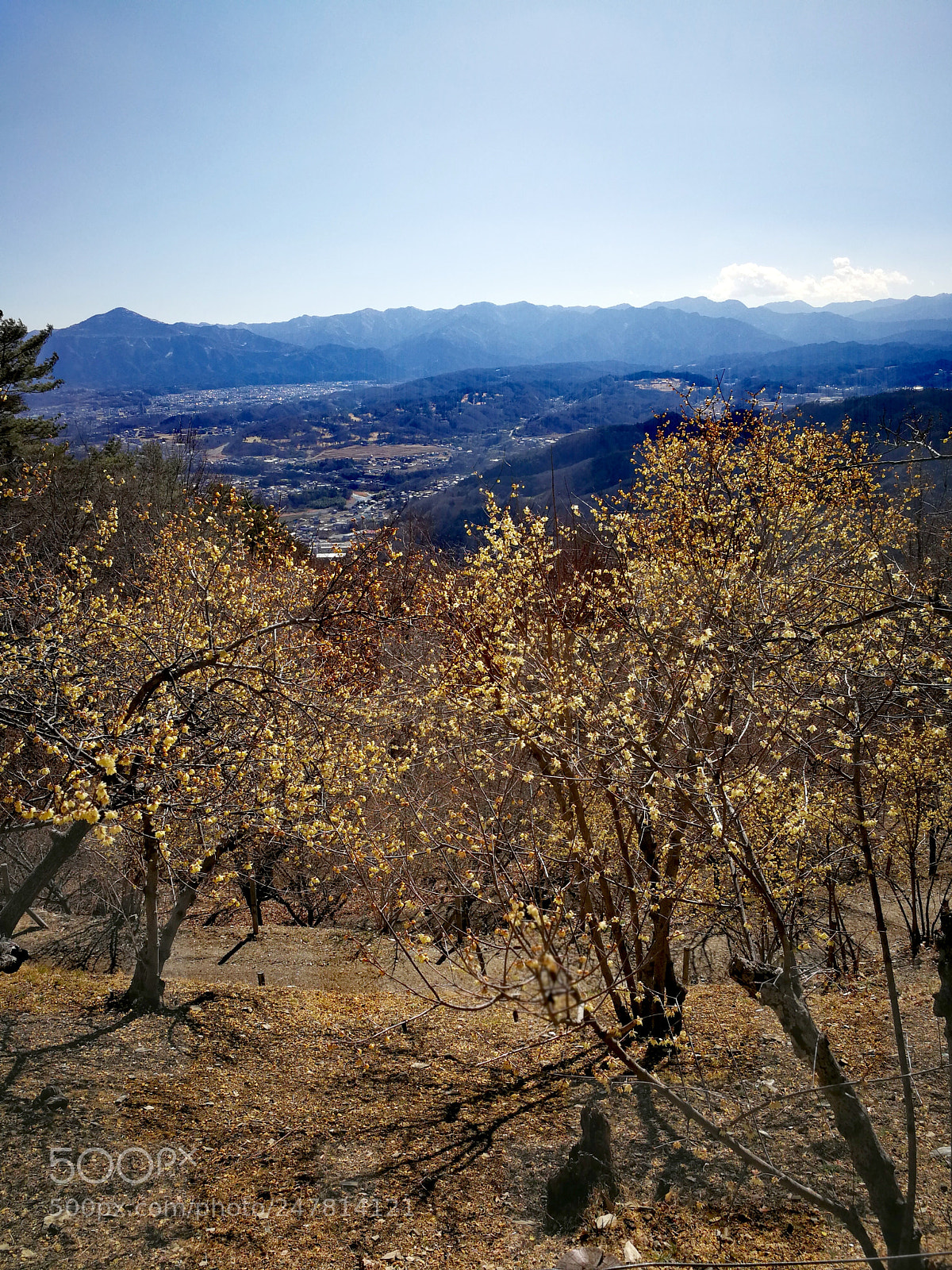 HUAWEI Mate 9 sample photo. 宝登山 photography