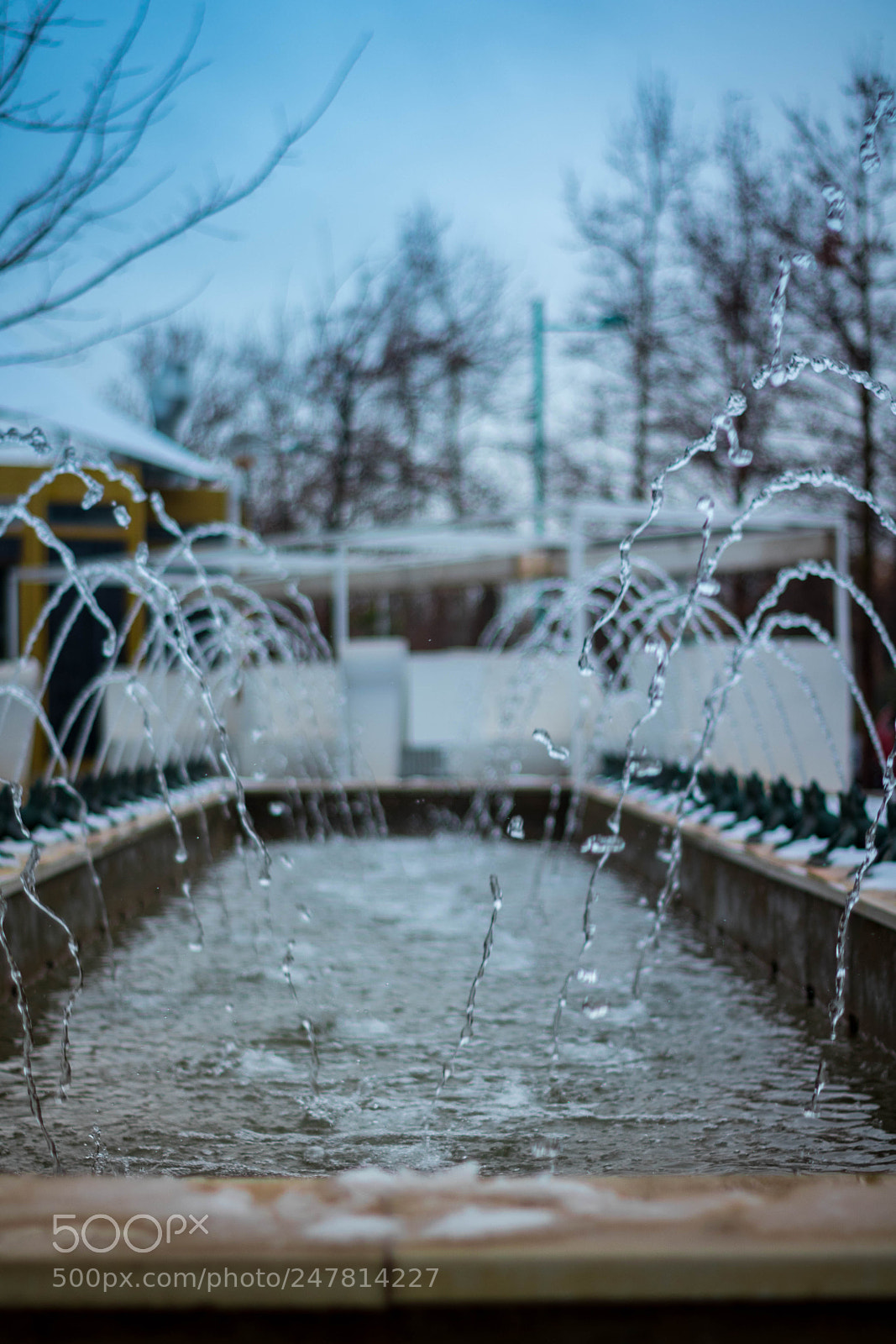 Canon EOS 750D (EOS Rebel T6i / EOS Kiss X8i) sample photo. Frog fountain photography